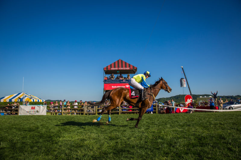 The Iroquois Steeplechase on May 13, 2017 at Percy Warner Park in Nashville, Tennessee